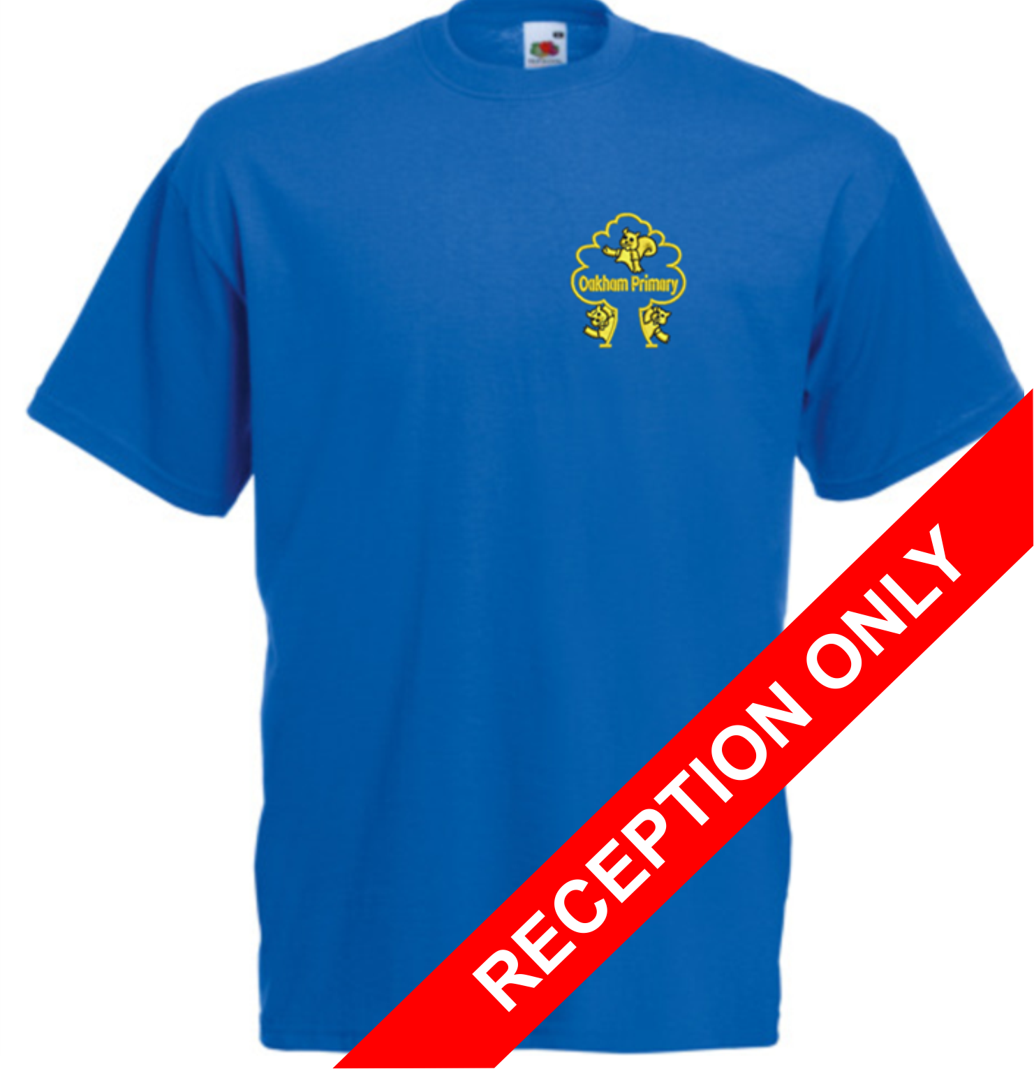 Blue cotton PE T Shirt with School logo